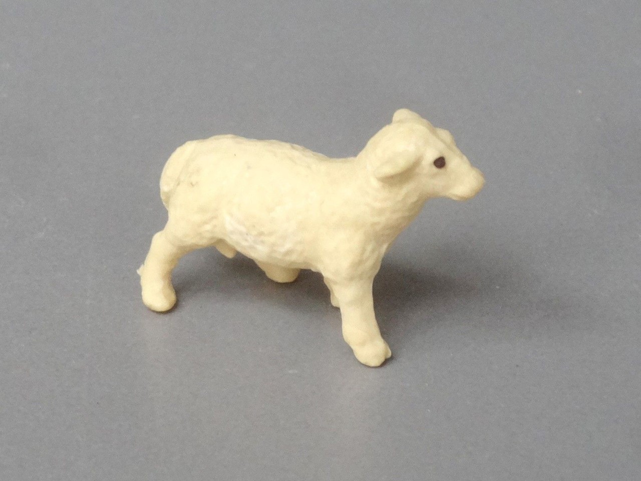 Picture of Lamb